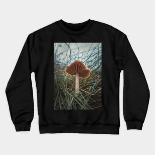 wild mushroom Crewneck Sweatshirt